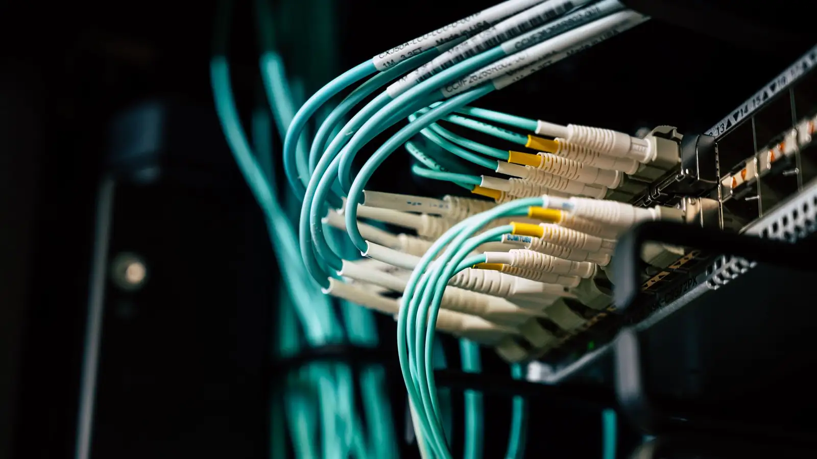 Turquoise fiber optic cables neatly plugged into a network patch panel